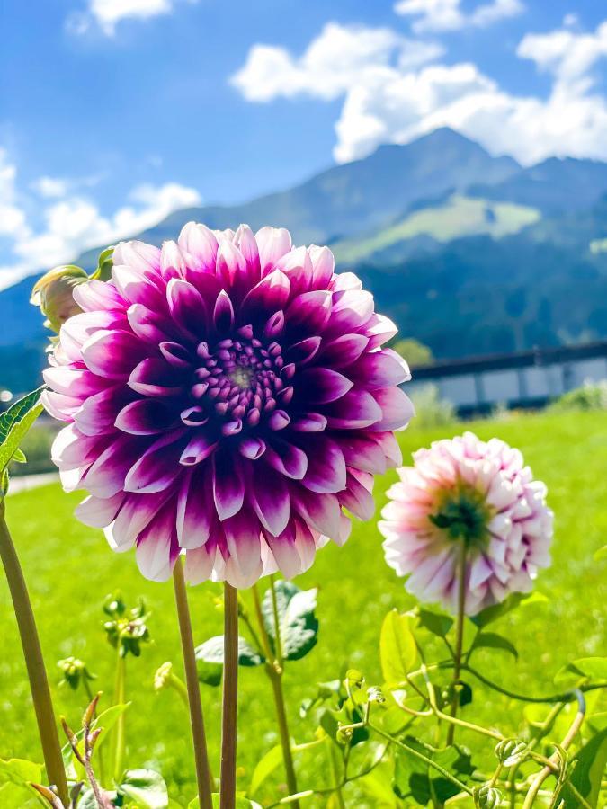 Apartmán Haus Waltl Sankt Johann in Tirol Exteriér fotografie